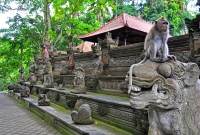Wenara Wana
