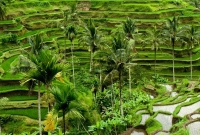 ubud
