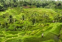 bali ubud