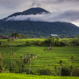 Batukaru mountain