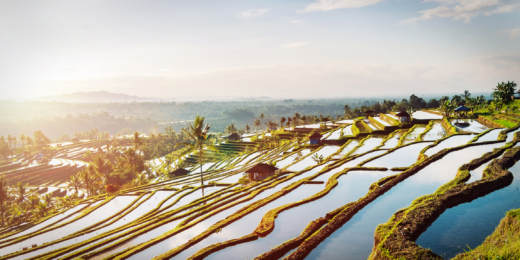 jatiluwih bali