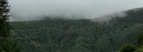 Ežeras 