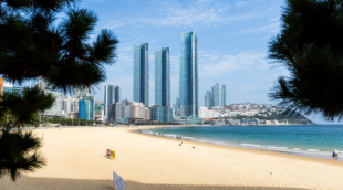 Haeundae papludimys