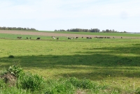 DSC05096
