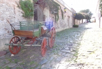 DSC05117