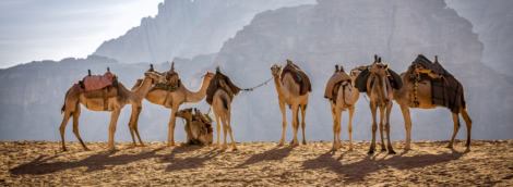 wadi rum kupranugariai