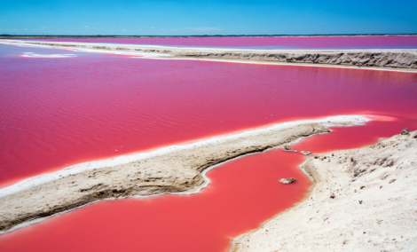 Las Coloradas ezerai