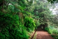 Vereda dos Balcoes levada vaizdas