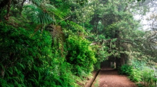 Vereda dos Balcoes levada vaizdas
