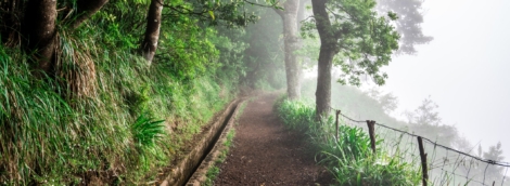 Vereda dos Balcoes levada