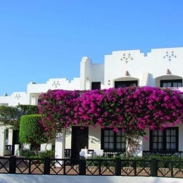 verginia sharm 11011