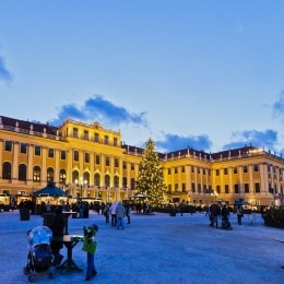 viena ziema 12378