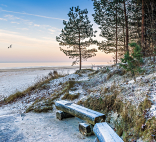iStock 1304068466