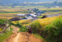 Pasiūlymo galerija 1