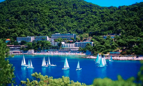 VIS kroatija