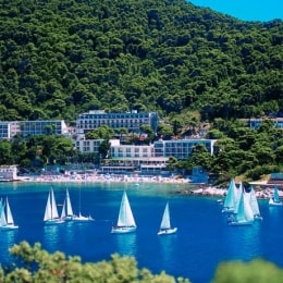 vis viesbutis 7857