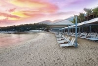 vogue bodrum papludimys