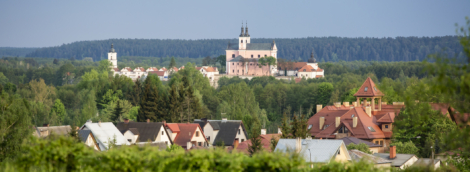 vygriai1