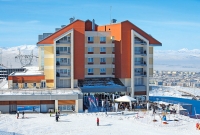 snow6