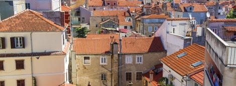 zadaras stogai