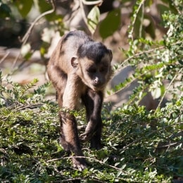 zagrebo zoo