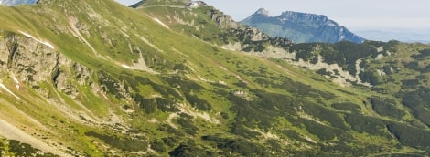 zakopane kalnai vaizdas is virsaus 16539