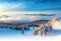 Bukovina Tatranska 4934