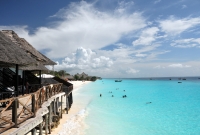 zanzibaras 4496