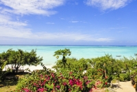 zanzibaras gamta 4491