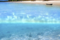 zanzibaras juros vezlys 4492