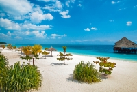 zanzibar6
