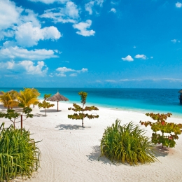 zanzibar6