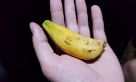 20170427 051416 10877