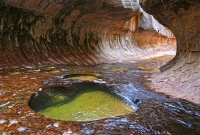 zion6
