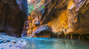 the narrows zionas