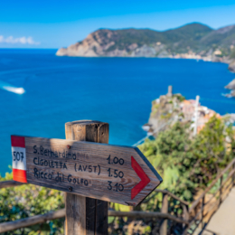 path near Vernazza in Cinque Terre
