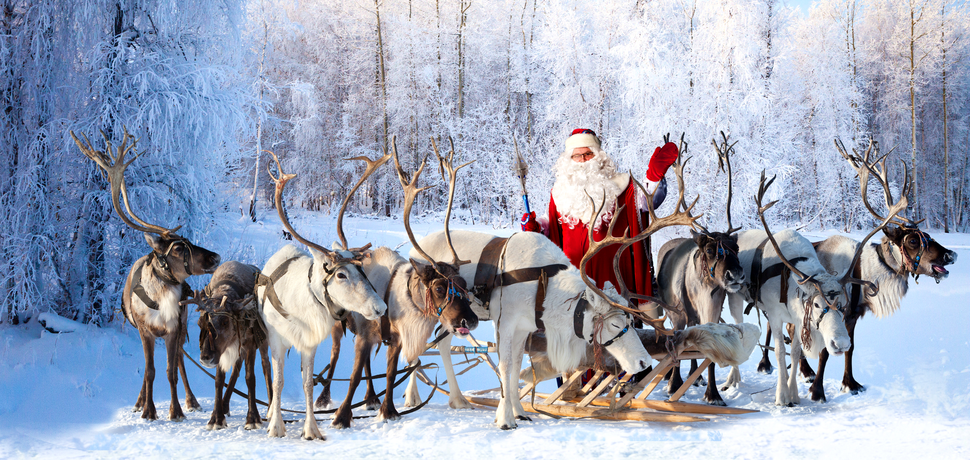 draw animals how deer to KelionÄ KalÄdÅ³ per autobusu senelÄ¯ Aplankyk KalÄdas! ir