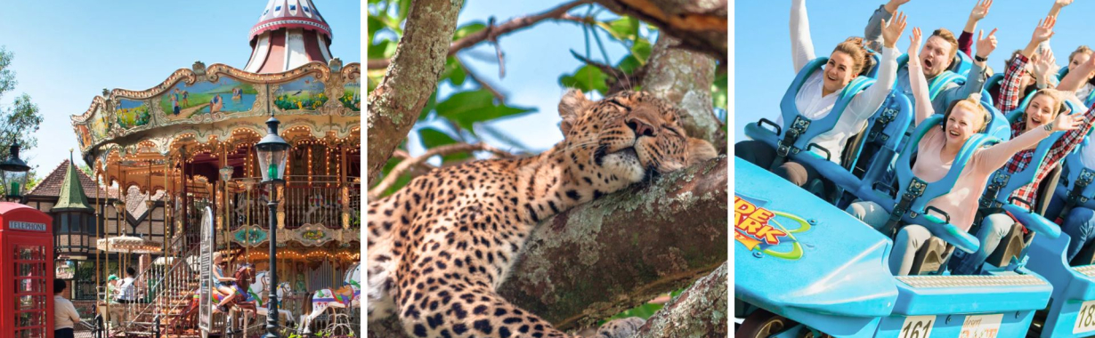 Heide parkas ir Serengeti safaris