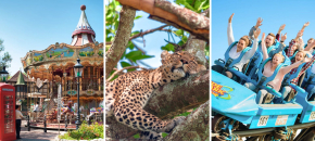 Heide parkas ir Serengeti safaris