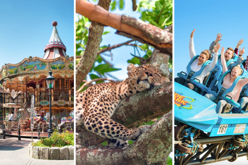 Heide parkas ir Serengeti safaris