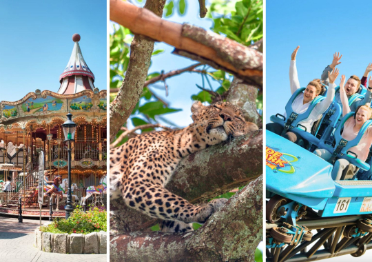 Heide parkas ir Serengeti safaris