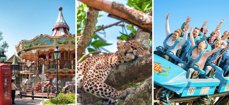 Heide parkas ir Serengeti safaris