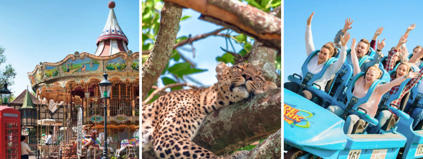 Heide parkas ir Serengeti safaris