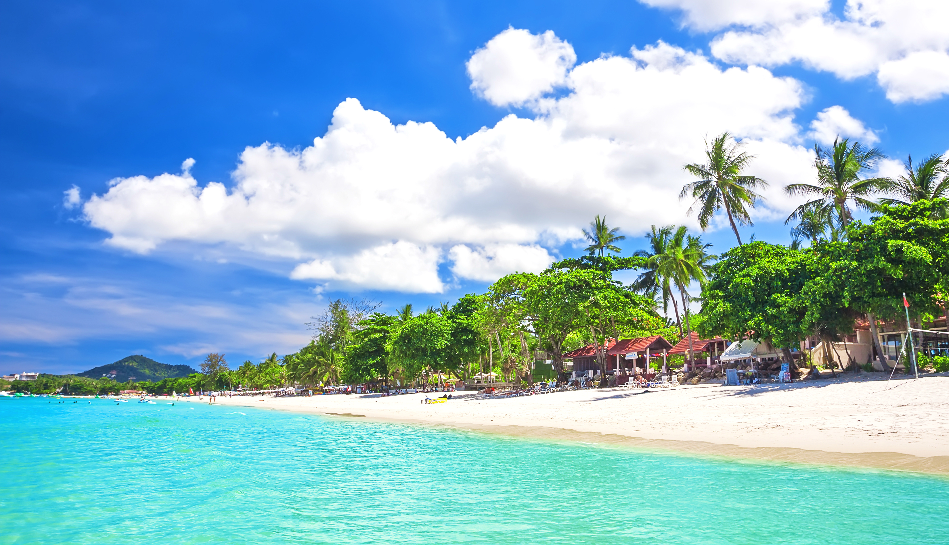 Koh Samui Escort