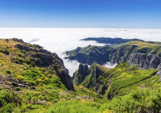 Madeira