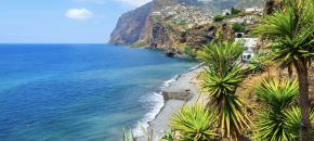 Madeira, „Dom Pedro Madeira“ 4*