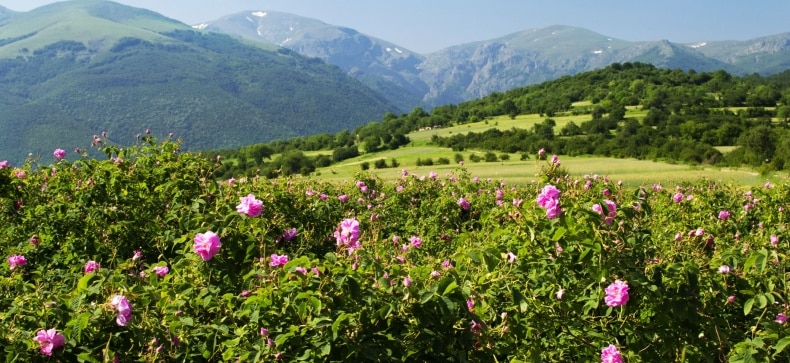 Bulgarija