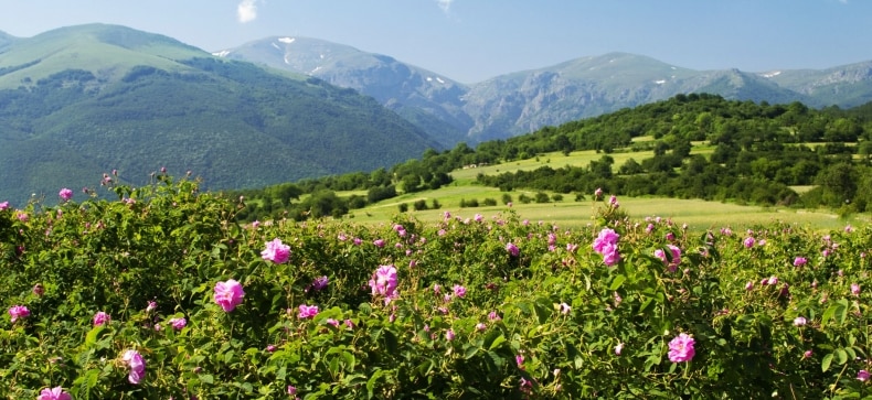 Bulgarija