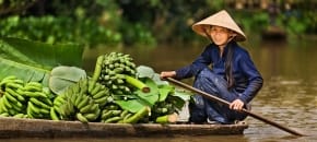 Vietnamas