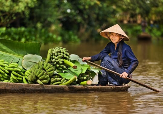 Vietnamas